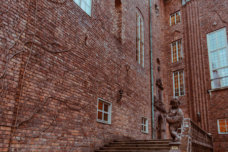 首都 古老的 建筑 瑞典 房子 斯堪的纳维亚 风景 大学