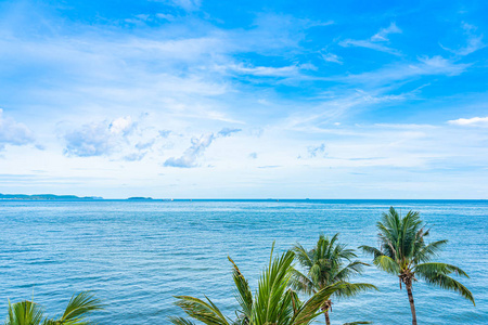 美丽的海景或海景白云