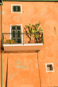 街道 威尼斯 村庄 旅行 窗口 纹理 地中海 外观 建筑学