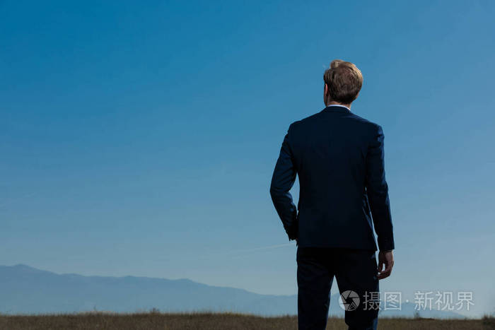 Rear view of a wondering businessman 