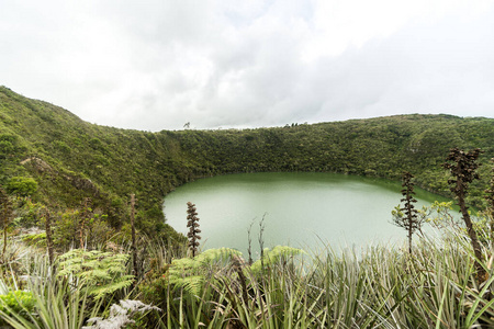 小山 天空 摄影 栅栏 自然 灌木 绿色植物 森林 泻湖