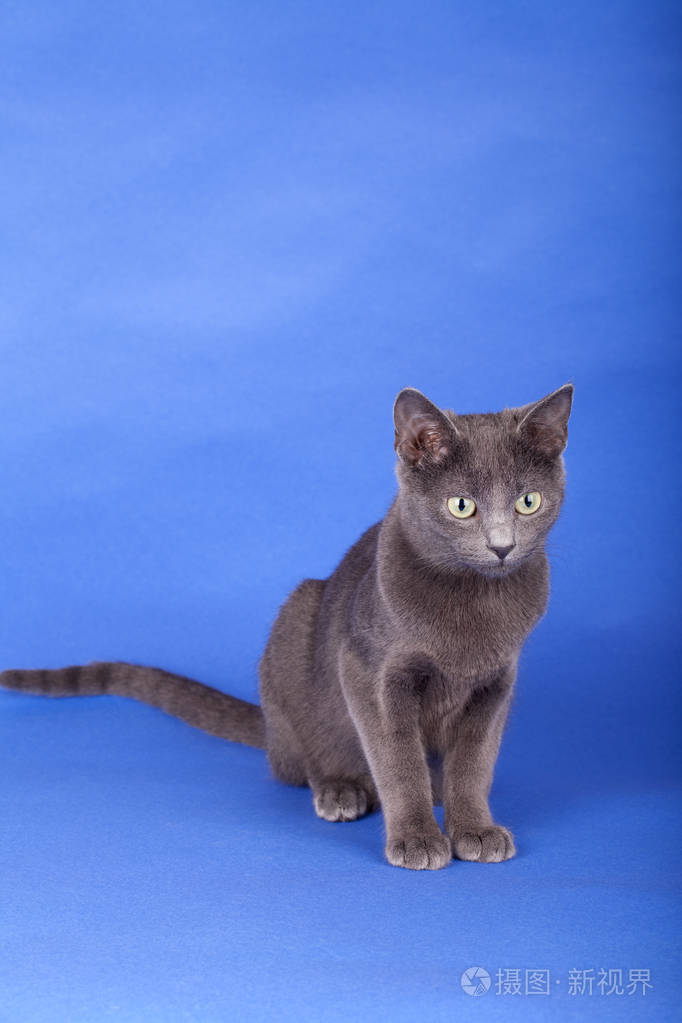 以图搜图id:25gp05授权范围商业用途,可用于营利性