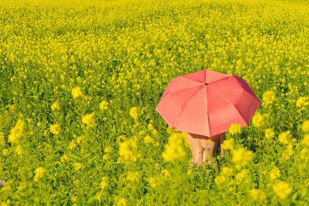 草地 农业 热的 雨伞 天空 美女 春天 领域 时尚 墙纸