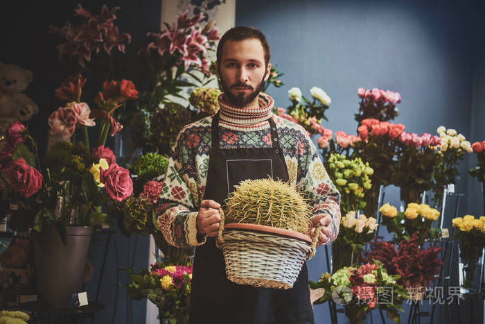 仙人掌花匠画像