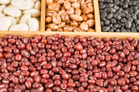 不同的豆子照片