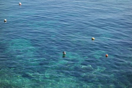 游泳 旅游业 冲浪 假日 假期 水下 风景 海的 海景 夏季