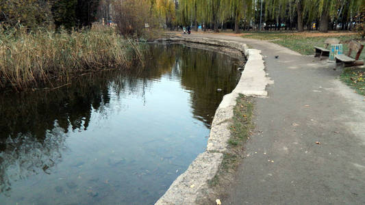 秋天公园里有池塘和芦苇的小路图片