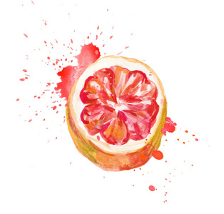 水彩手绘粉红色葡萄柚.孤立的生态天然食品水果白色插图背景.