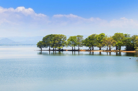 Small island with tropical trees on a lake 