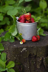 食物 自然 收获 夏天 园艺 草莓 浆果 美味的 特写镜头