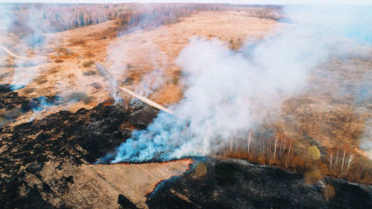俄罗斯大片被黑煤烟覆盖的大片烧焦的田地.火在几个地方蔓延.