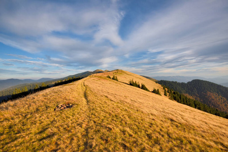 Amazing mountain landscape with colorful herbs. Evening light. 