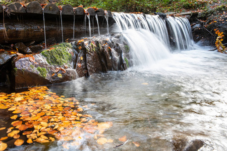 Colorful majestic waterfall in autumn forest 