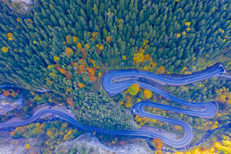 俯瞰秋林和道路