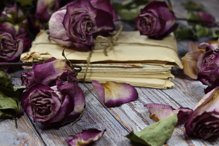 把回忆埋葬过去图片