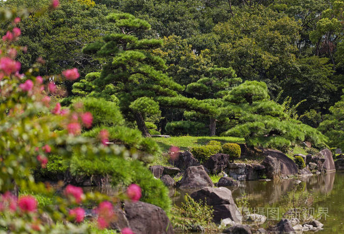 夏日美丽的日本传统公园