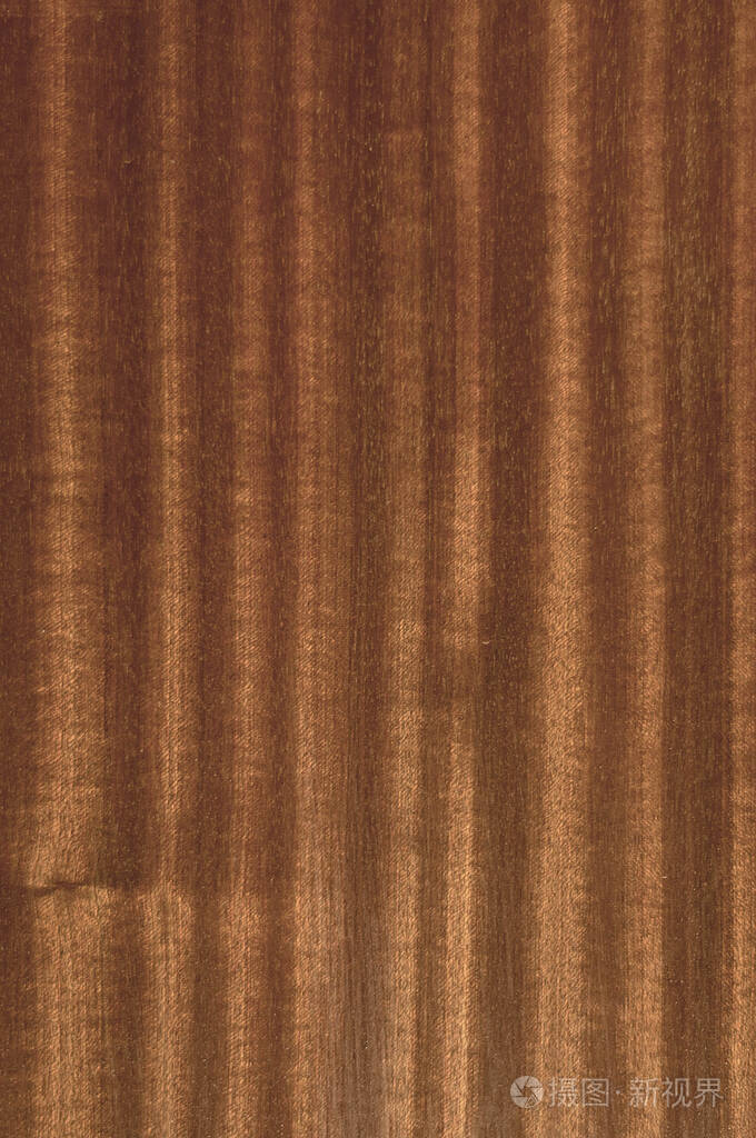 垂直木纤维木质背景的纹理
