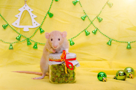 黄色的老鼠小飞象坐在新年礼物罐上，黄色背景上有彩带，还有圣诞铃铛，象征着2020年