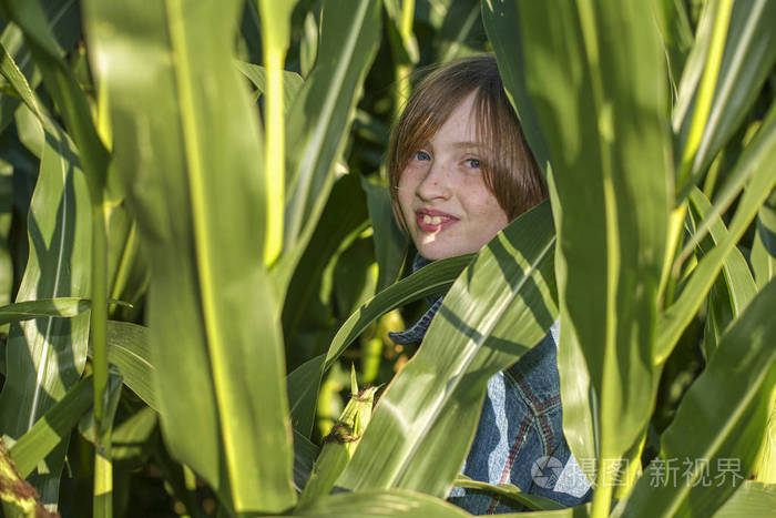 一个小女孩躲在玉米地里