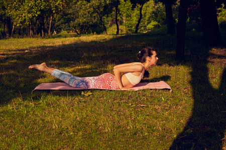 自然 姿势 成人 运动 春天 健康 瑜伽 活力 锻炼 女人