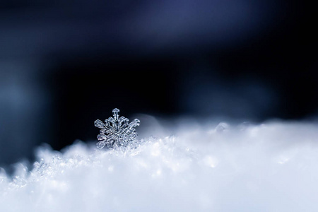 冷冰冰的 雪堆 美丽的 卡片 季节 冰冷的 寒冷的 天气