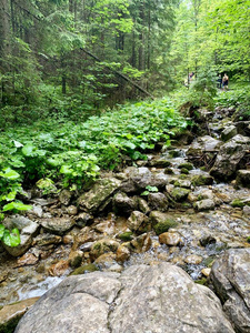 自由 小山 天空 徒步旅行 跋涉 岩石 自然 攀登 冒险