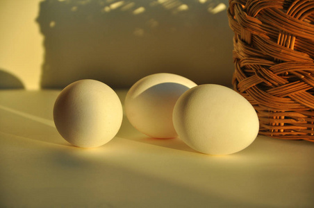 早餐 鸡蛋 蛋白质 母鸡 食物 生活 复活节 自然