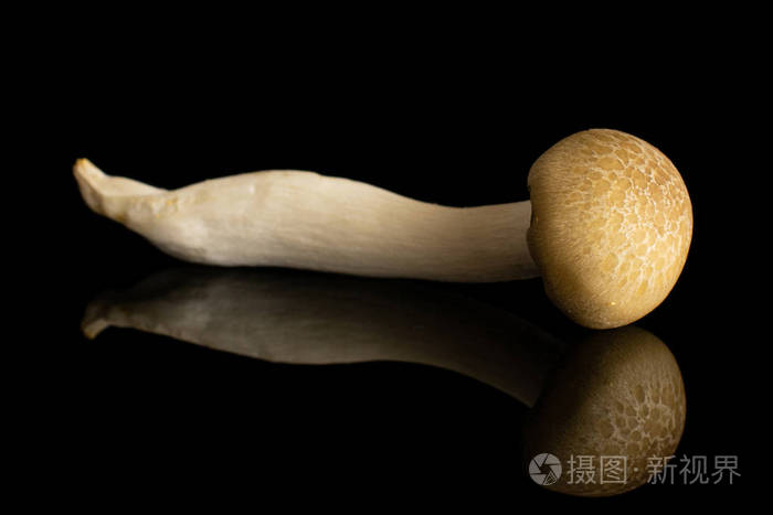 黑玻璃隔离香菇