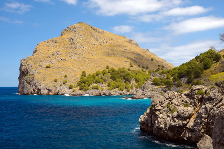 西班牙马略卡岛上美丽的著名的萨卡罗布拉湾。碧绿的大海，岩石和松树。前往巴利阿里群岛。