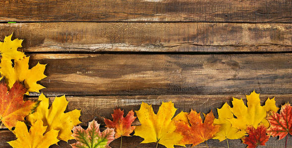 秋天的枫叶在木板上。带叶水平框架