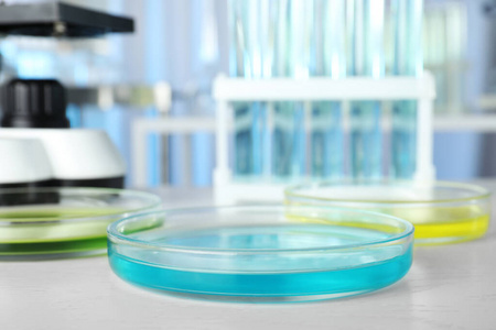 带液体的培养皿放在白色的桌子上。实验室分析
