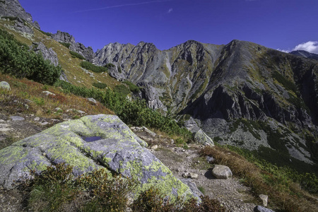 高塔塔拉斯晴山秋景