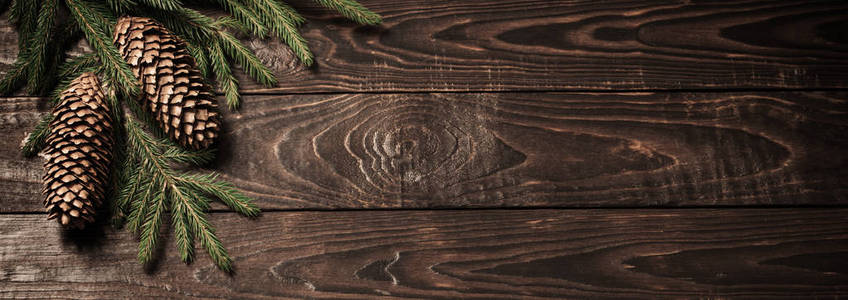 fir branches and cone on dark old wooden background 