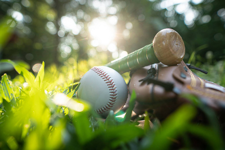 美国人 木材 娱乐 闲暇 棒球 复古的 草坪 运动 齿轮