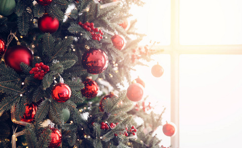圣诞红松树，背景是阳光明媚的窗户，新年的标志。复制空间