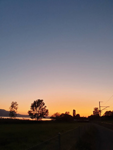 Trees silhouette in the bright evening red with the outlines of 