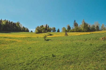农场 季节 喀尔巴阡山 草地 旅游业 领域 风景 自然 场景