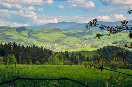 喀尔巴阡山 欧洲 自然 首脑会议 林间空地 森林 解决 植物