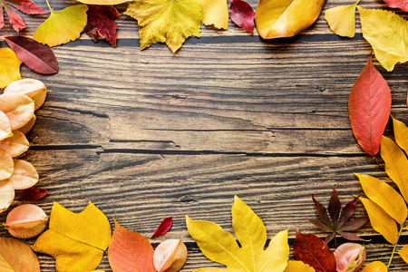 棕色木质背景上的黄色和红色叶子。季节构成，秋季，感恩节，植物标本室概念。模型模板开销
