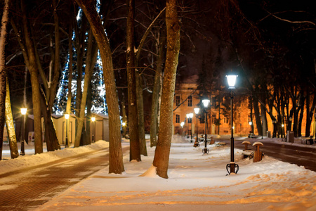 晚上的冬季公园。