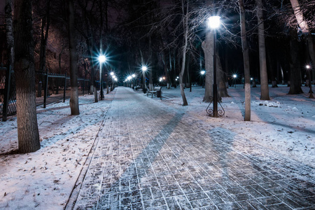 冬天下着雪的夜间公园。