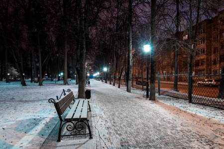冬天下着雪的夜间公园。
