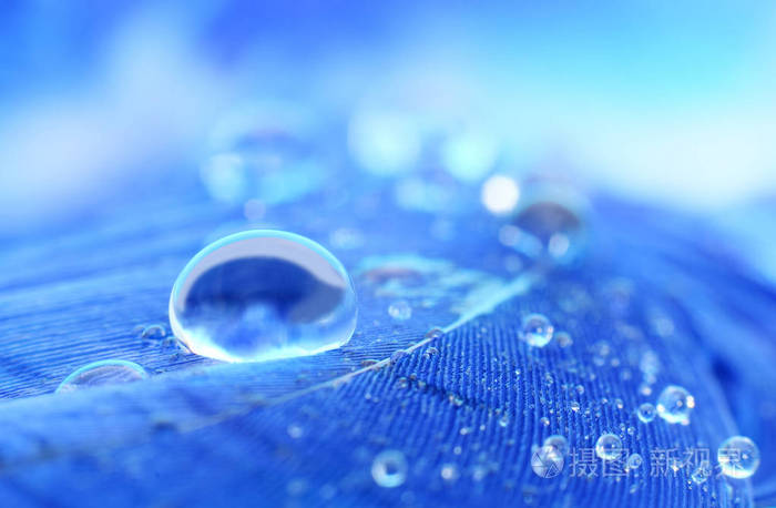 水滴落在蓬松的羽毛或羽毛上