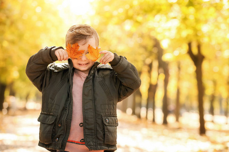秋天公园里可爱的小男孩带着树叶