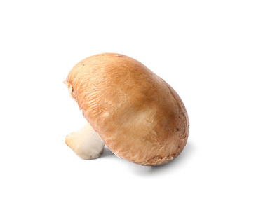 白底鲜香菇