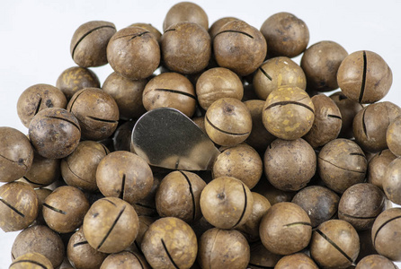 macadamia nuts 