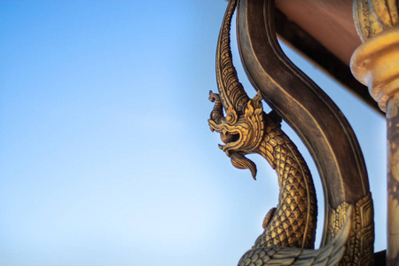 亚洲 古老的 雕像 佛教 旅行 纳加 雕塑 崇拜 旅游业