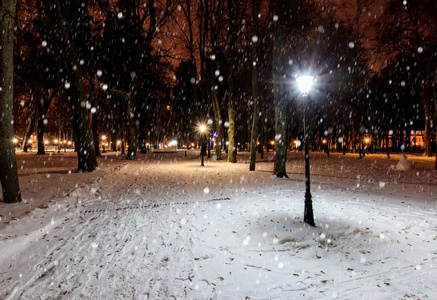 冬天下雪的夜间公园。