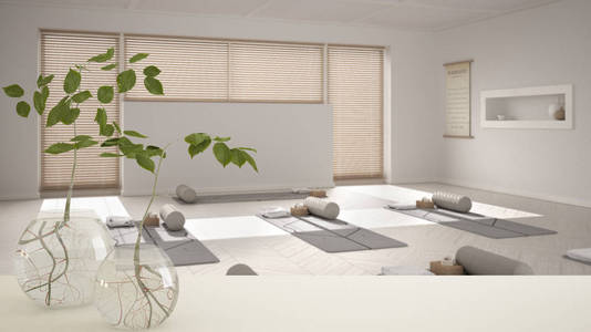 装饰品,水中植物根,花瓶中的树枝,背景为空瑜伽室,冥想室,室内设计