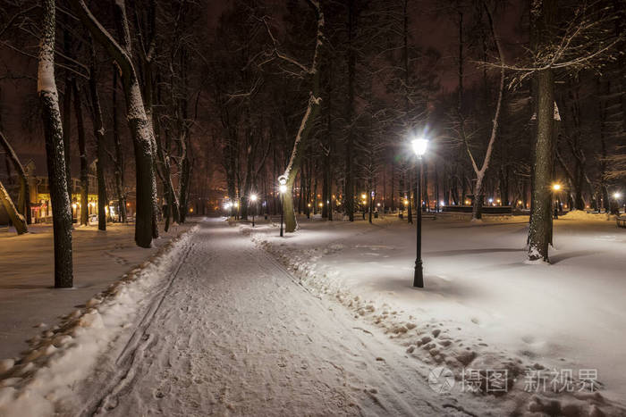 晚上的冬季公园。